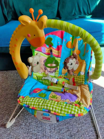 Photo of free Baby bouncer (Lakenham NR1) #1