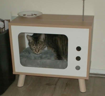Photo of free cat condo shaped like TV (Western Dearborn) #1