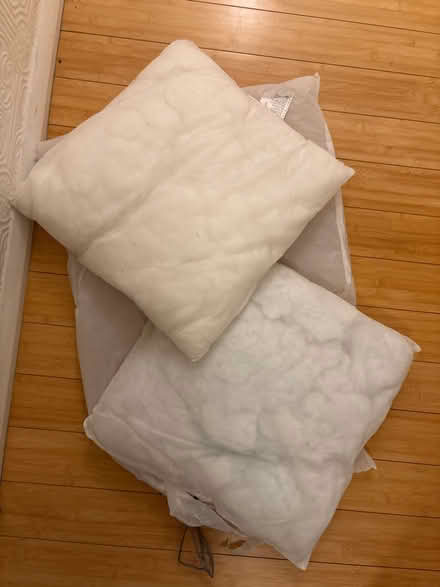 Photo of free Cushion inners x2 (W4) #1