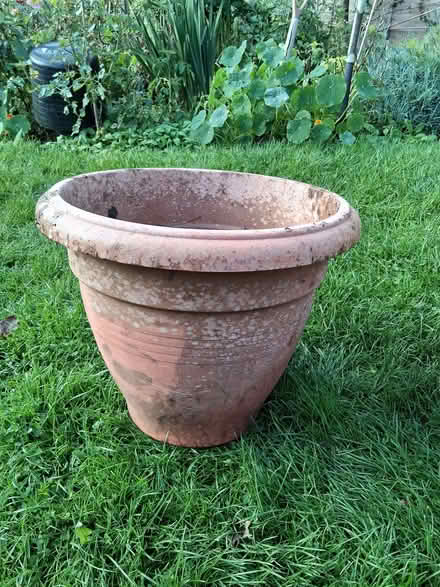 Photo of free Large plastic flower pot no 1 (Stroud GL5) #1