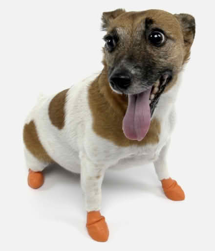 Photo of free x7 rubber dog boots, red, small size (Chilcompton) #2