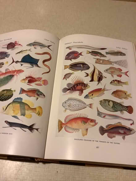 Photo of free Children’s Encyclopedia (Balerno EH14) #3