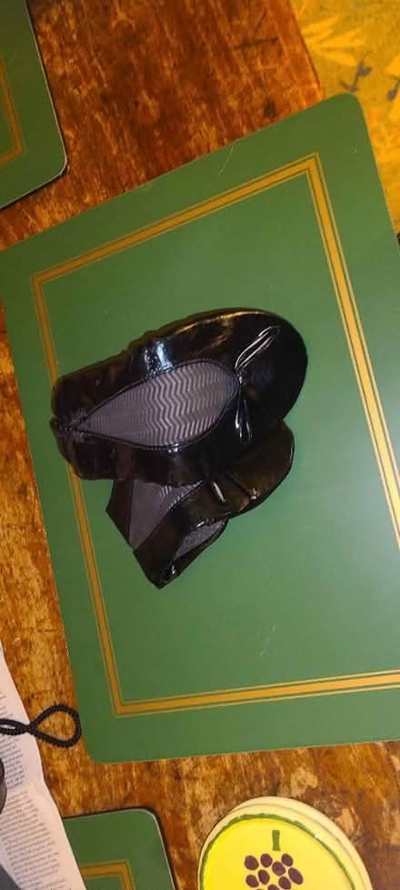 Photo of free Evening accessories (South beacon hill) #1