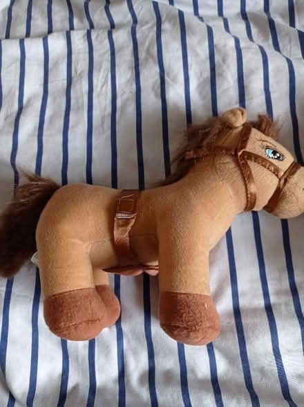 Photo of free 2 soft horse (Gorebridge EH23) #3