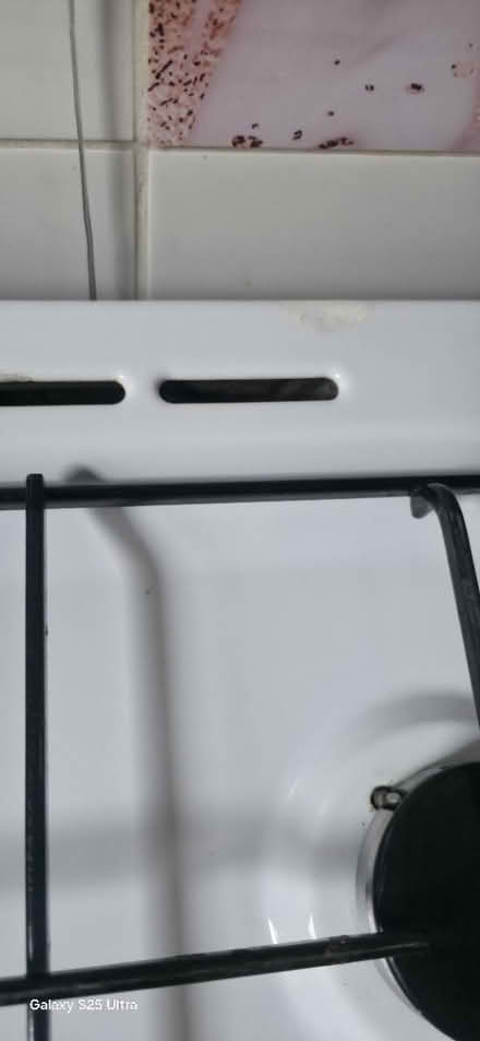 Photo of free Gas cooker Indesit (Acton W3) #4