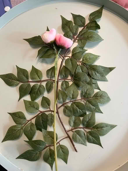 Photo of free Artificial plants (Bermondsey SE16) #1