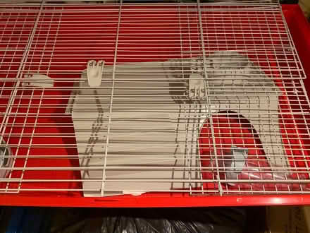Photo of free Indoor Bunny Cage, Food/Bedding (Lichfield WS13) #1