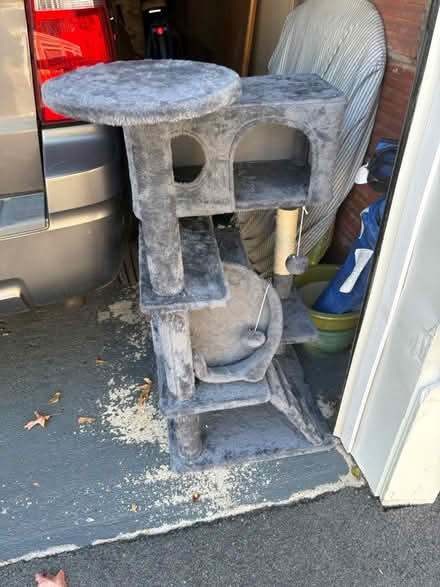 Photo of free Cat supplies (Bloomfield) #3