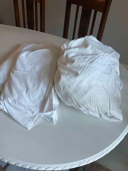 Photo of free Cotton sheets (Newtown 2042) #4