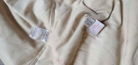 Photo of free Large bean bag (Lingwood NR13) #1
