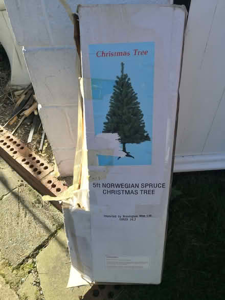 Photo of free Xmas Tree (CT10) #1