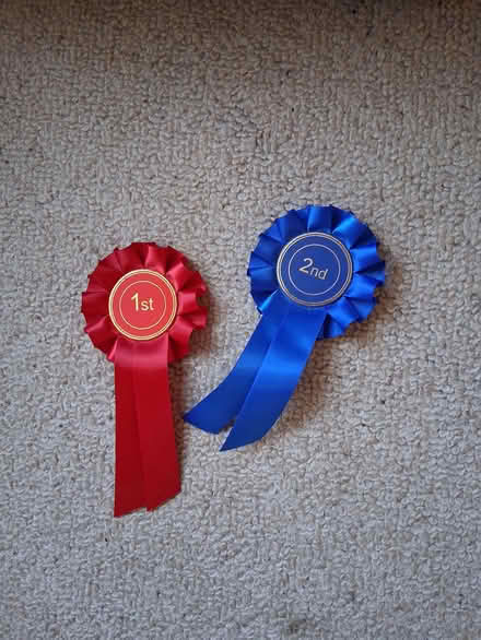 Photo of free 2 rosettes (Stroud GL5) #1