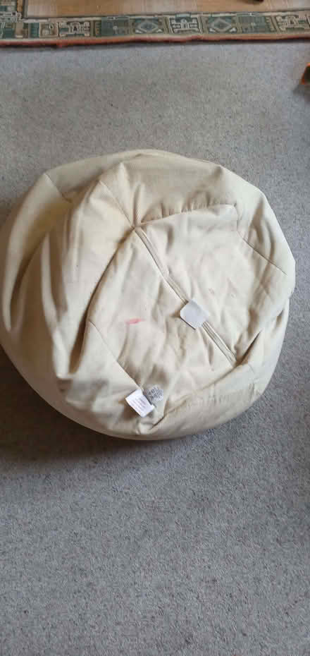 Photo of free Large bean bag (Lingwood NR13) #2
