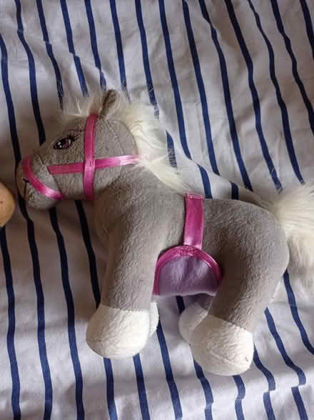 Photo of free 2 soft horse (Gorebridge EH23) #2