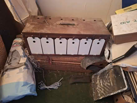 Photo of free Bird/pigeon related transport (Heywood OL10) #2