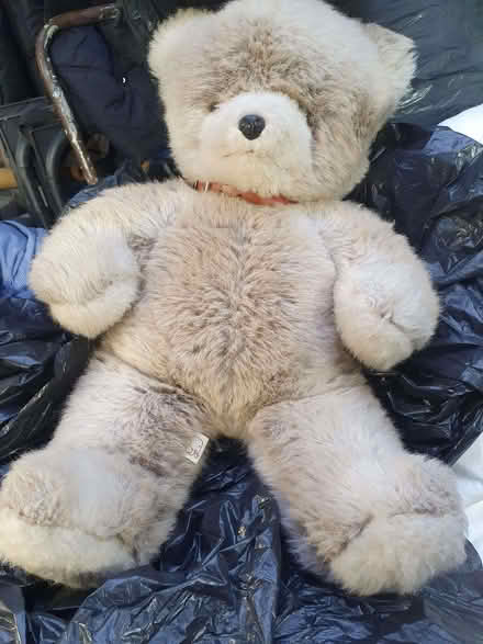 Photo of free Teddy 24 inches (Booker HP12) #1