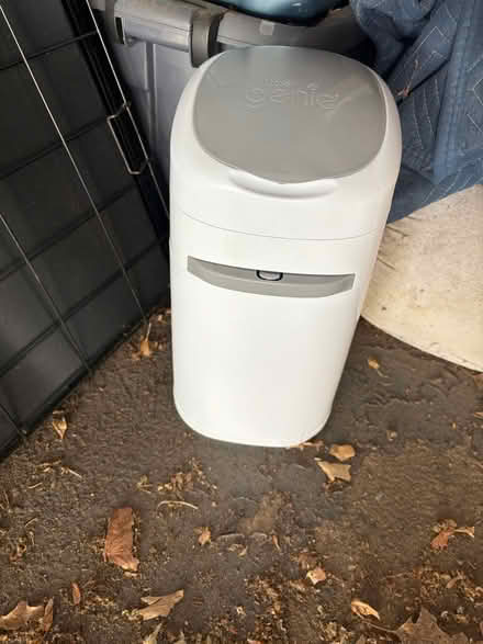 Photo of free Cat supplies (Bloomfield) #2