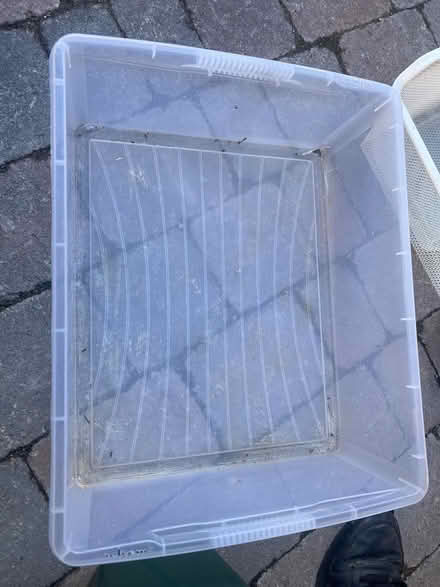 Photo of free Clear tub with lid (Stanway, CO3) #1