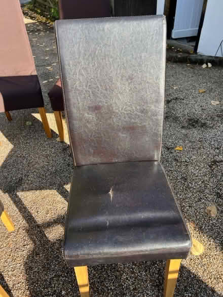 Photo of free 4 black dining chairs (CM3 East Hanningfield.) #3