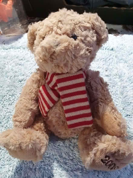 Photo of free Teddy Soft 8 inch (Booker HP12) #1