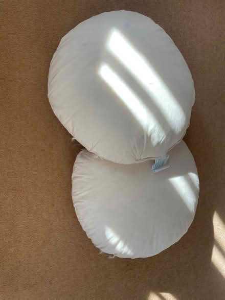 Photo of free 2 x round duck feather pillows (CV23, Coton Park) #1