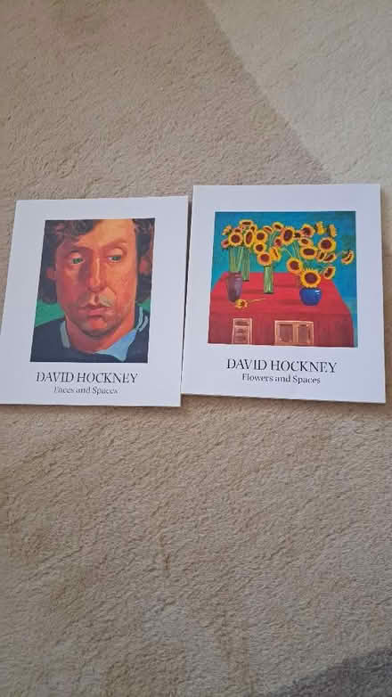 Photo of free David Hockey books (Clive Vale TN35) #1