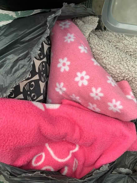 Photo of free Bag of Dog Blankets (Lichfield WS13) #1