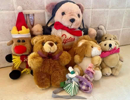 Photo of free Small teddies/ soft toys (Eastbourne BN21) #1