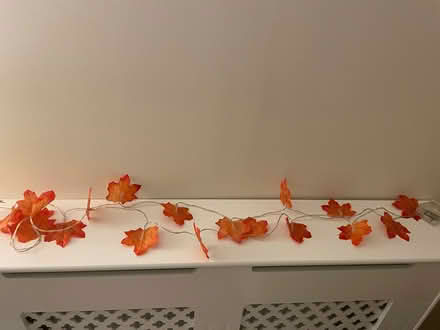 Photo of free Autumn Leaves Garland (Appleton) #1