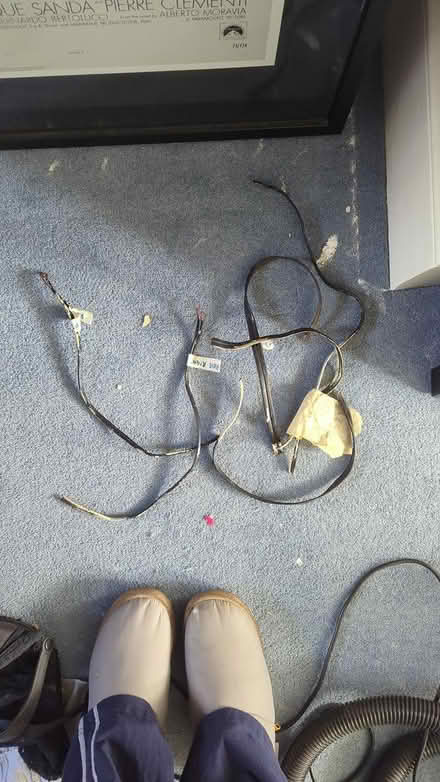 Photo of free Copper speaker cables (Shepherds bush) #1