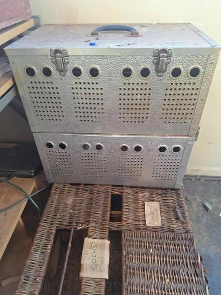 Photo of free Bird/pigeon related transport (Heywood OL10) #1