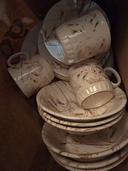 Photo of free Dinner set (Canning town E16) #1