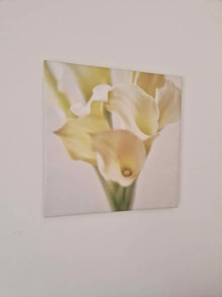 Photo of free Flower Canvas Prink (Oxford OX3) #1