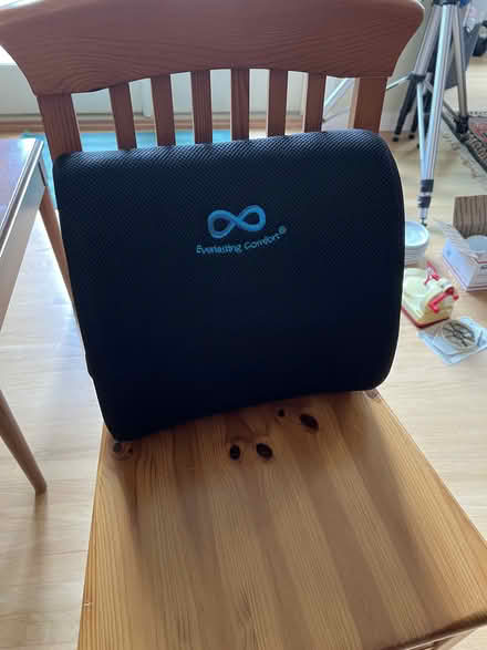 Photo of free Seat back cushion with straps (Midtown Palo Alto) #1