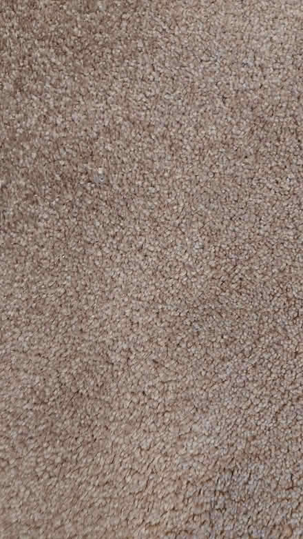 Photo of free Carpet (Norton LD8) #1