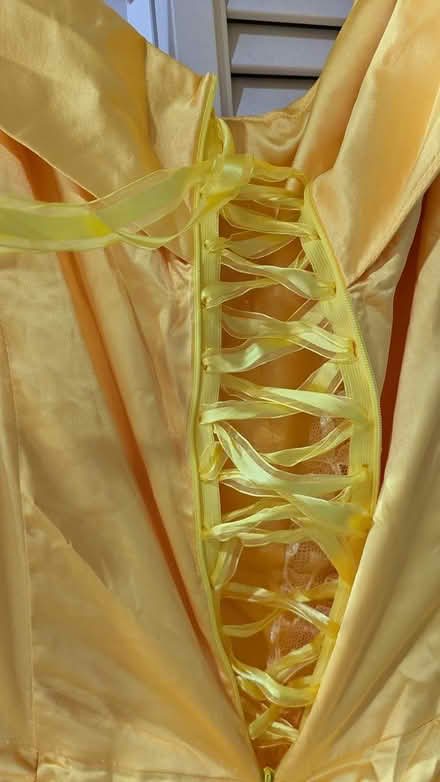 Photo of free Halloween costumes, various (Hayward Downtown) #2