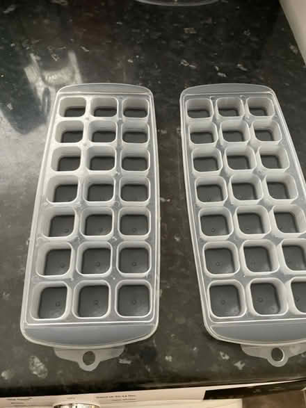 Photo of free X2 Ice cube trays (Aspley NG8) #1
