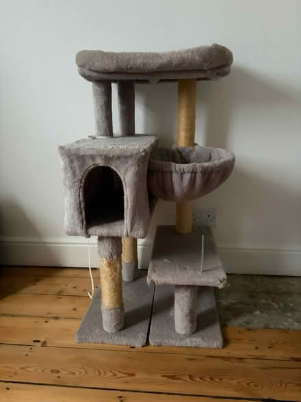 Photo of free cat tree (NN1 5) #1