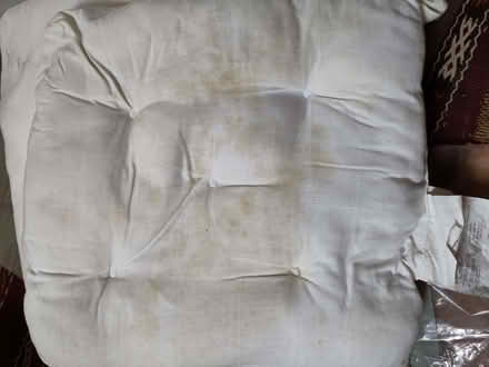 Photo of free 4 cushion pads (Henleaze Ward BS9) #4