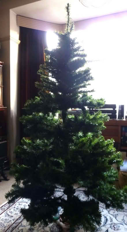Photo of free CHRISTMAS TREE, 6 ft (Coventry CV1) #1