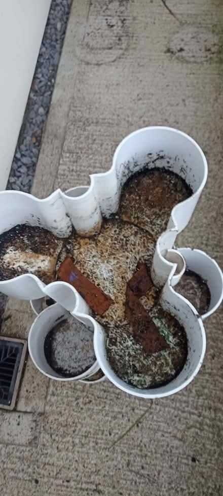 Photo of free Stacked planter (New Marston OX3) #1