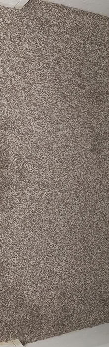 Photo of free Carpet (PA13SP) #1