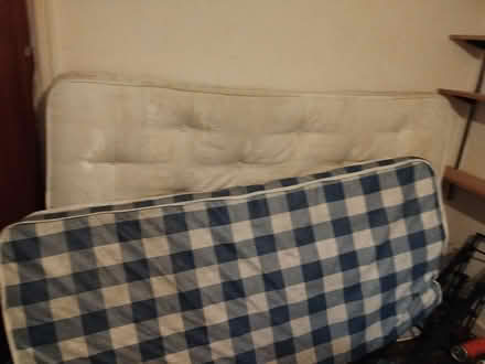 Photo of free Mattress and a single mattress (Dodworth S75) #1