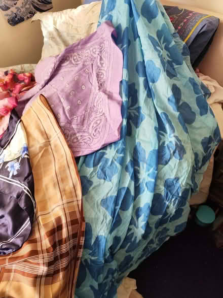 Photo of free Collection of 10 scarves (Gidea Park RM11) #2