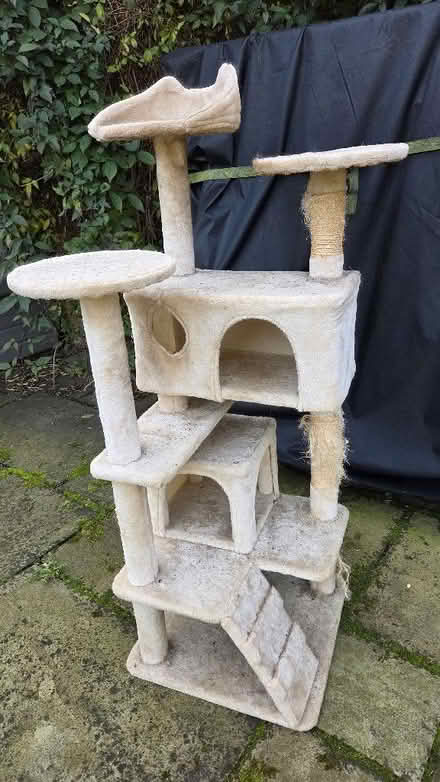 Photo of free Cat Scratching Post (Ganthorpe YO60) #1