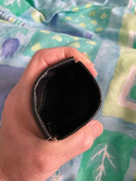 Photo of free Little change purse (CM12) #3