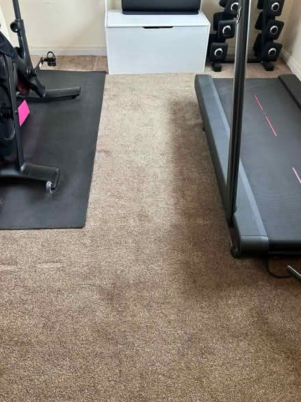 Photo of free Fawn carpet (Freeland OX29) #1