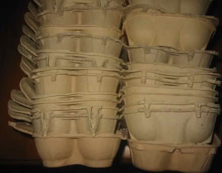 Photo of free Egg Boxes (Frinton/Walton CO13) #1