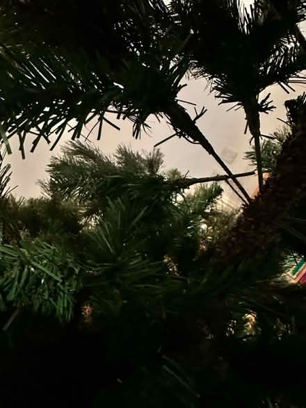 Photo of free Artificial Christmas Tree (Halewood, L26) #3