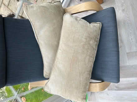 Photo of free Two bolster sofa cushions (Gamston NG2) #1